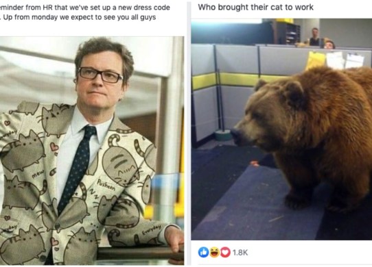 A group where we all pretend to work in the same office.